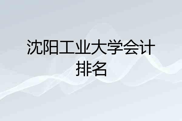 沈阳工业大学会计排名