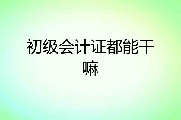 初级会计证都能干嘛