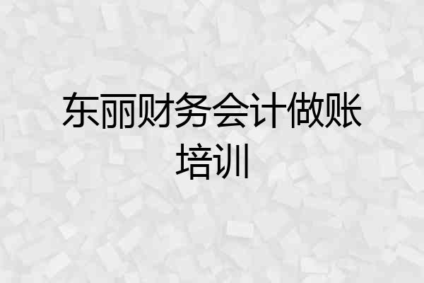 东丽财务会计做账培训