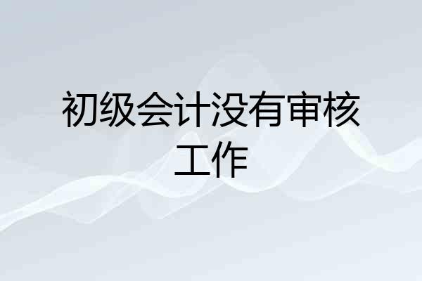 初级会计没有审核工作