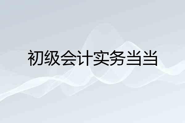 初级会计实务当当