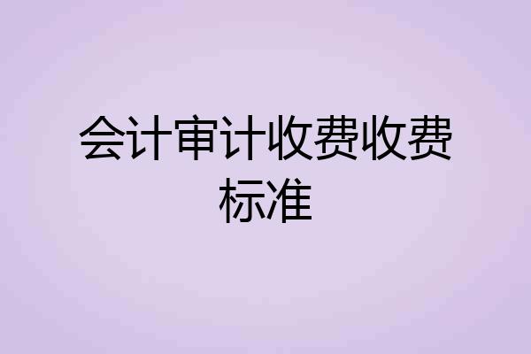 会计审计收费收费标准