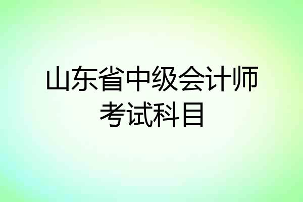 山东省中级会计师考试科目