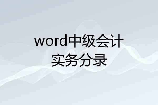 word中级会计实务分录