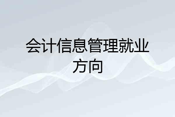 会计信息管理就业方向