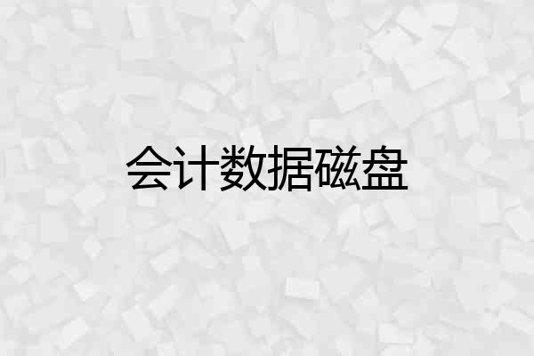 会计数据磁盘