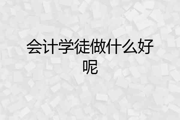 会计学徒做什么好呢