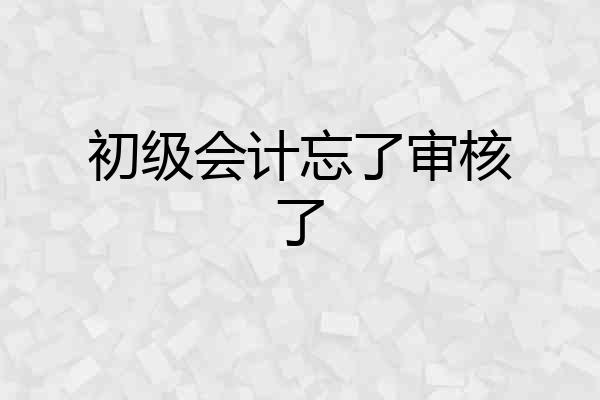 初级会计忘了审核了