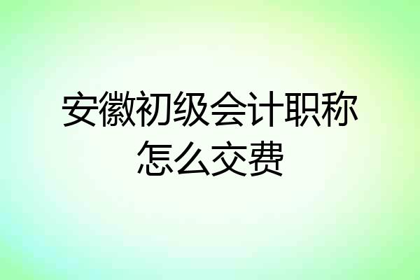 安徽初级会计职称怎么交费