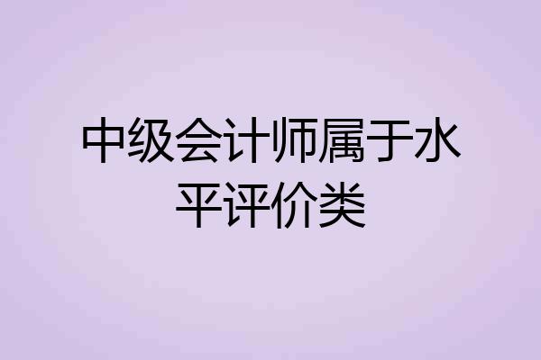 中级会计师属于水平评价类