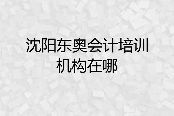 沈阳东奥会计培训机构在哪