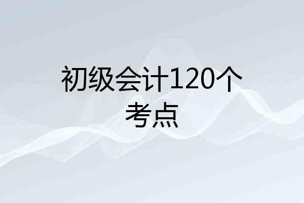 初级会计120个考点