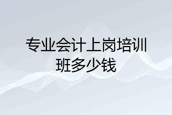 专业会计上岗培训班多少钱