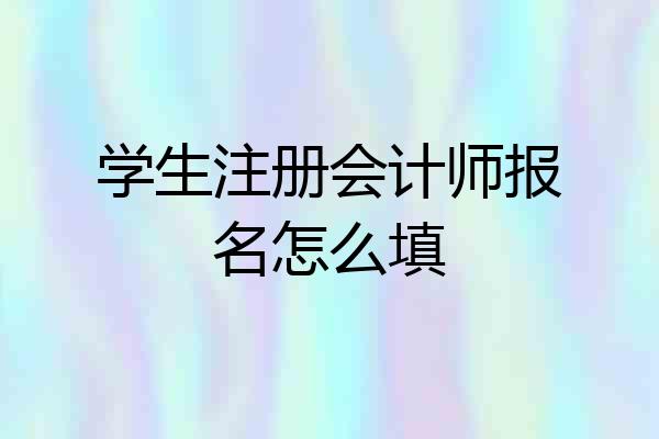 学生注册会计师报名怎么填