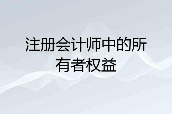 注册会计师中的所有者权益