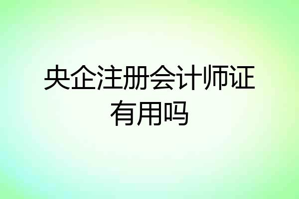 央企注册会计师证有用吗