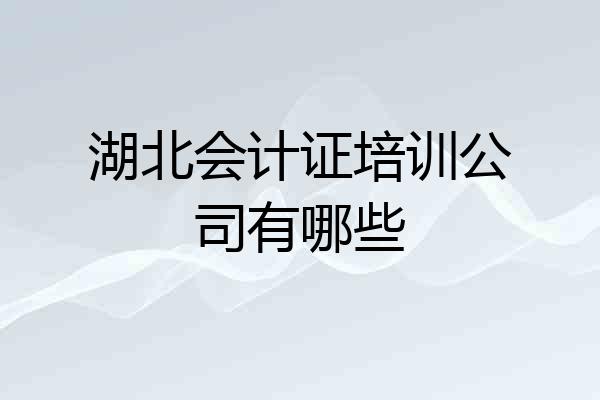 湖北会计证培训公司有哪些