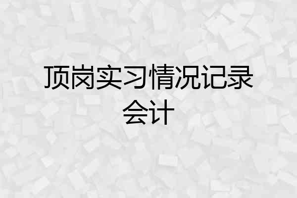 顶岗实习情况记录会计
