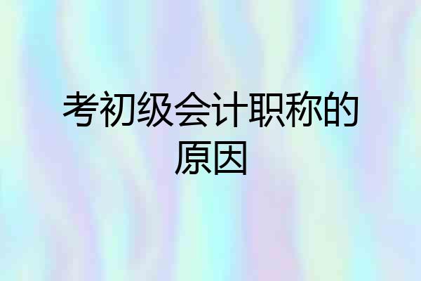 考初级会计职称的原因