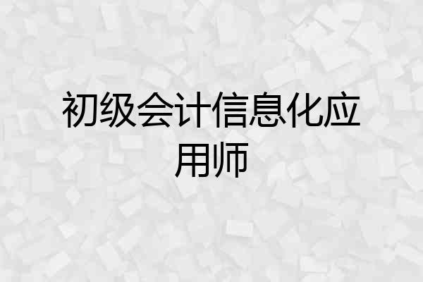 初级会计信息化应用师