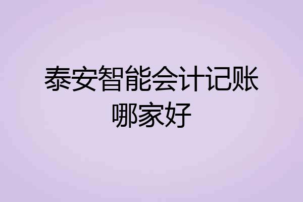 泰安智能会计记账哪家好