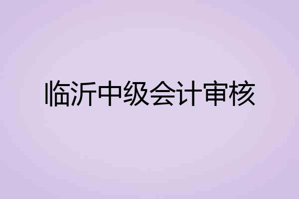 临沂中级会计审核