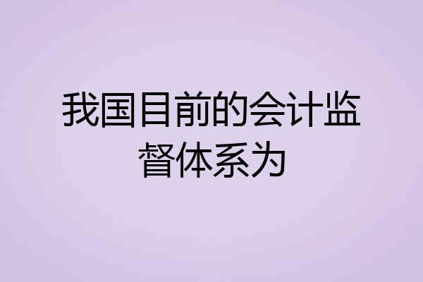 我国目前的会计监督体系为