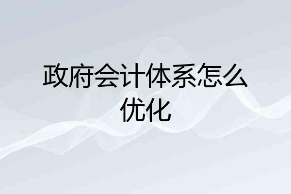 政府会计体系怎么优化