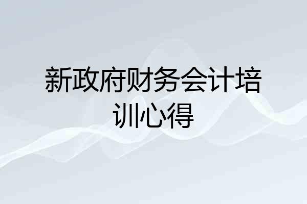 新政府财务会计培训心得