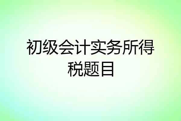 初级会计实务所得税题目