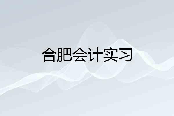 合肥会计实习