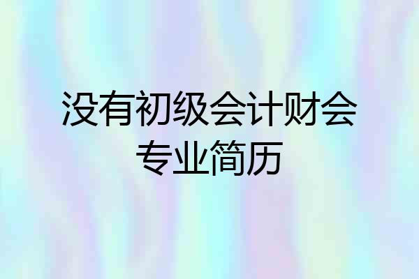 没有初级会计财会专业简历