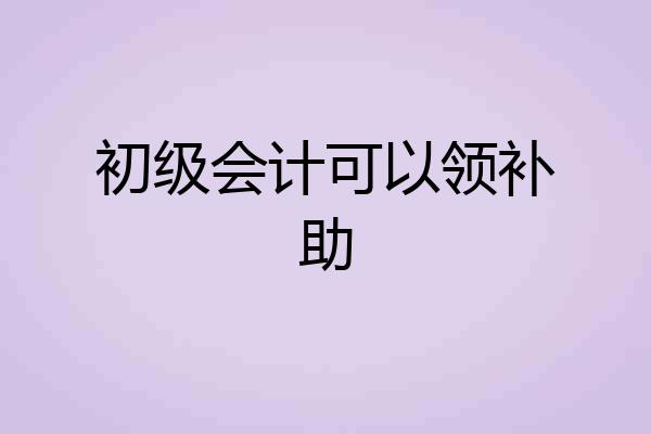 初级会计可以领补助
