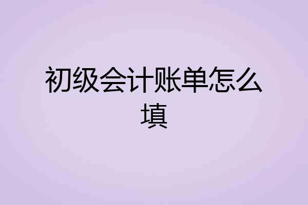初级会计账单怎么填
