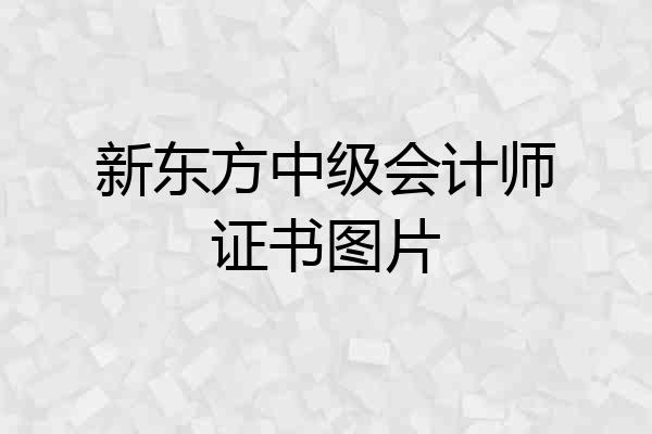 新东方中级会计师证书图片