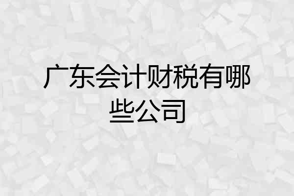 广东会计财税有哪些公司