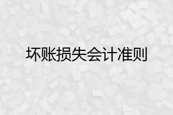 坏账损失会计准则