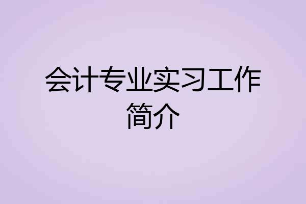 会计专业实习工作简介