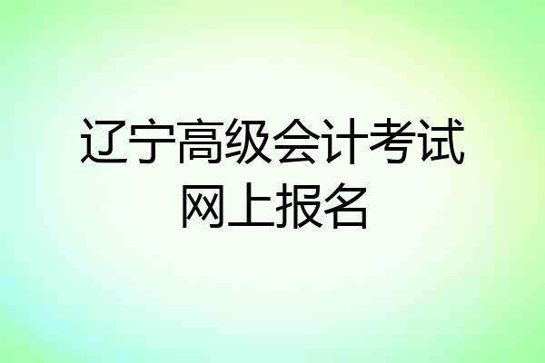 辽宁高级会计考试网上报名