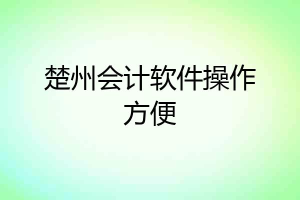 楚州会计软件操作方便