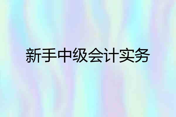 新手中级会计实务