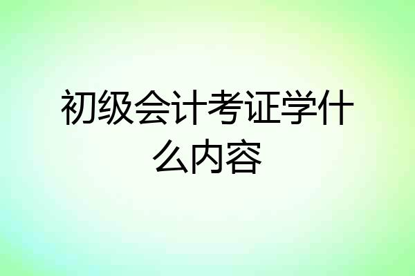 初级会计考证学什么内容