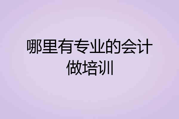 哪里有专业的会计做培训