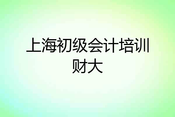 上海初级会计培训财大