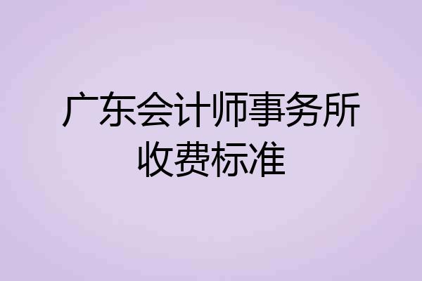广东会计师事务所收费标准