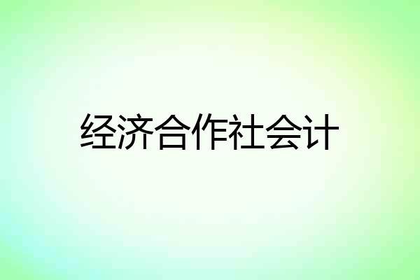 经济合作社会计