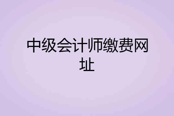 中级会计师缴费网址