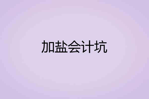 加盐会计坑