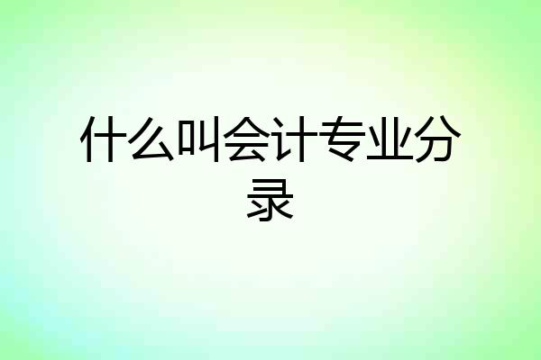 什么叫会计专业分录