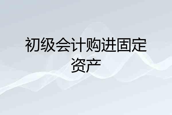 初级会计购进固定资产